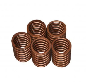 柱塞弹簧Z12V.12.14A